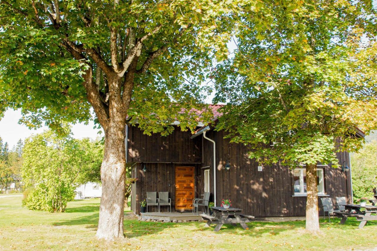 Hegna Camping Seljord Extérieur photo