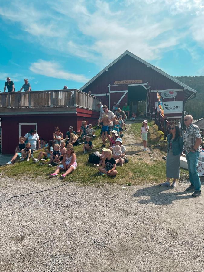 Hegna Camping Seljord Extérieur photo